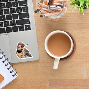 Sticker scintillant boréal - Cadeau parfait pour les ornithologues amateurs
