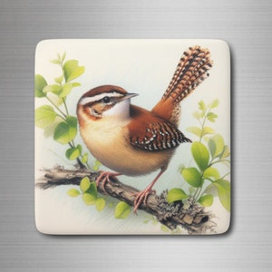 Carolina Wren Porcelain Magnet, Square