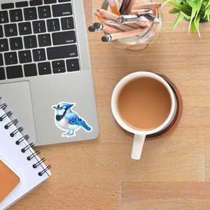 Blue Jay Sticker, Vinyl Sticker - Backyard Birds Collection - Cute Bird Decal for Nature Enthusiasts
