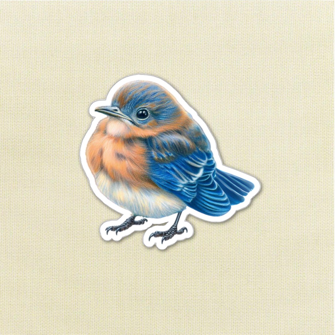 Baby Bluebird Vinyl Sticker: Adorable Bird Decal - Etsy