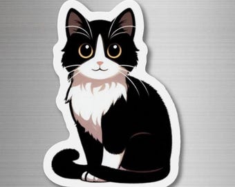 May include: A black and white cat with large, round eyes sits with its tail curled around its body. The cat has a white patch on its chest and a white stripe on its forehead.