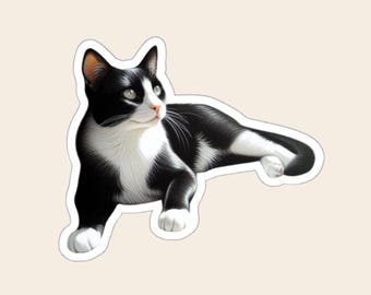 May include: A black and white cat sticker with a tuxedo pattern, featuring a white chest, white paws, and a pink nose. The cat is shown in a resting position, looking towards the right side with green eyes and long white whiskers.