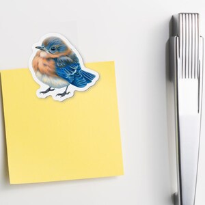 Baby Bluebird gestanzte Magnet