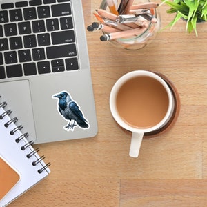 Raven Vinyl Sticker - Mysterious Black Bird Decal in 4 Sizes - Indoor Nature Sticker for Bird Lovers & Collectors