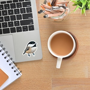 Carolina Chickadee Vinyl Sticker