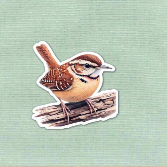 Carolina Wren Sticker Cute Bird Lover Gift