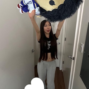 SZA Halftime Show Superbowl 2025, SZA Super Bowl, Artist Plush