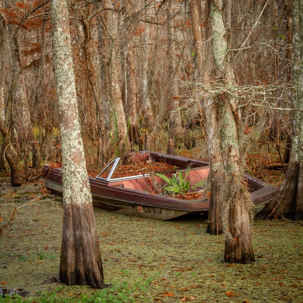 Bateau abandonné, Cyprès, lac, marais de cyprès, Pierre Part, paysage, marais de Louisiane, téléchargement numérique