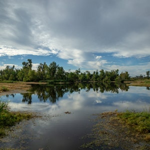 Mandalay Nature Trail, Hiking, Louisiana swamp, nature trail, landscape, boardwalk