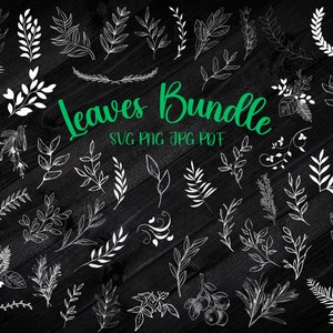 Paquete SVG de 50 hojas, hojas dibujadas a mano SVG, planta svg, hojas de papel, plantillas de hojas, corona, archivos cortados, imágenes prediseñadas de hojas, silueta cricut SVG