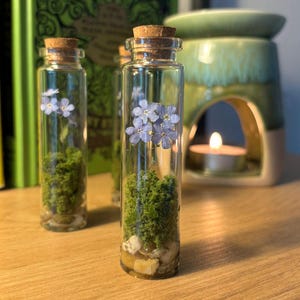 tall Forget me not botanical jars / gift / ornaments