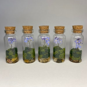 mini Forget me not botanical jars / gift / ornaments