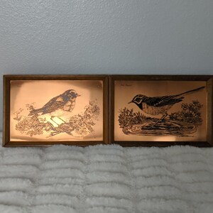 May include: Two framed copper etchings of birds. The left etching shows a bird perched on a branch with flowers. The right etching shows a bird standing in a puddle of water with flowers.