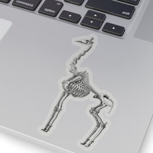 Giraffe Skeleton Sticker - Three Sizes, Transparent or White