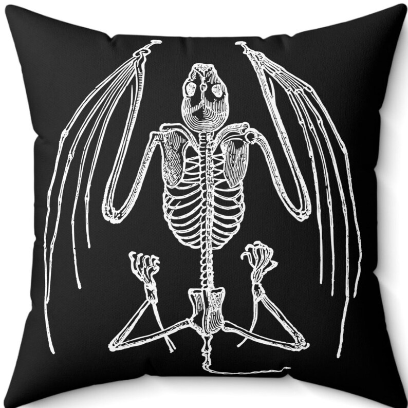May include: A black and white illustration of a bat skeleton with outstretched wings. The skeleton is depicted in a sitting position with its wings spread out.