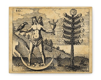 Divine Androgyne Alchemy Canvas Print, Occult Decor, Hermaphrodite, 1600s, Engraving, Etching
