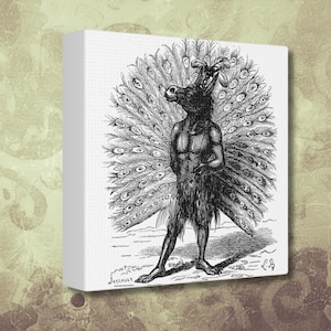 May include: Black and white illustration of a creature with a human body and a donkey head, wearing a peacock tail. The creature is standing on a white background.