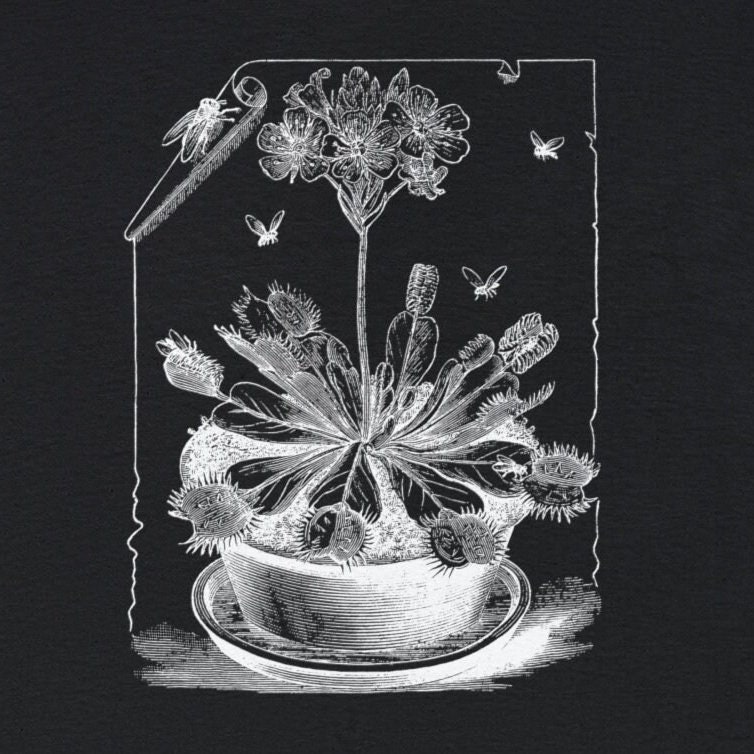 Venus Flytrap Tee, Carnivorous Plants, Witchy Weird Goth Unique - Etsy