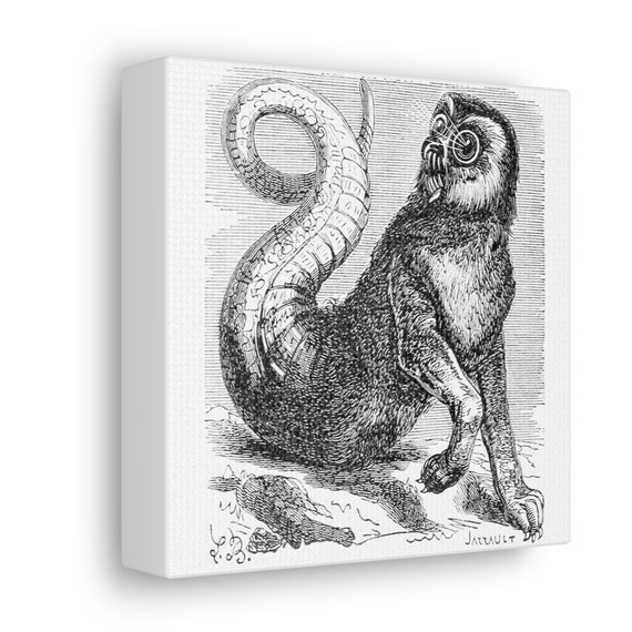 Amon Demonology