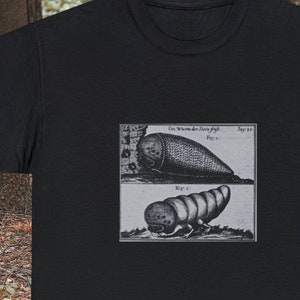 Puede incluir: Una ilustración en blanco y negro de dos gusanos, uno con un cuerpo segmentado y el otro con un cuerpo liso. El texto de la imagen dice "Ein Wurm der Stein frißt. Fig. 1. Fig. 2."