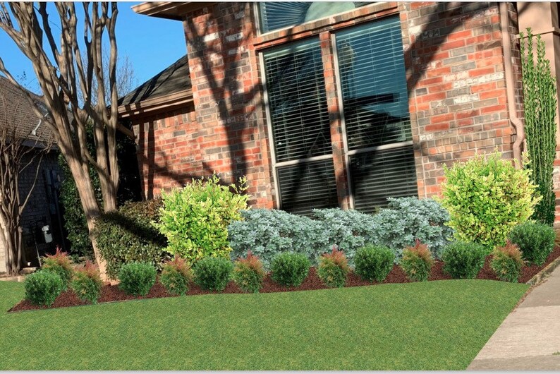 Landscape Design Zone 8 Front Yard Partial Sun Full Sun Evergreen Yard ...