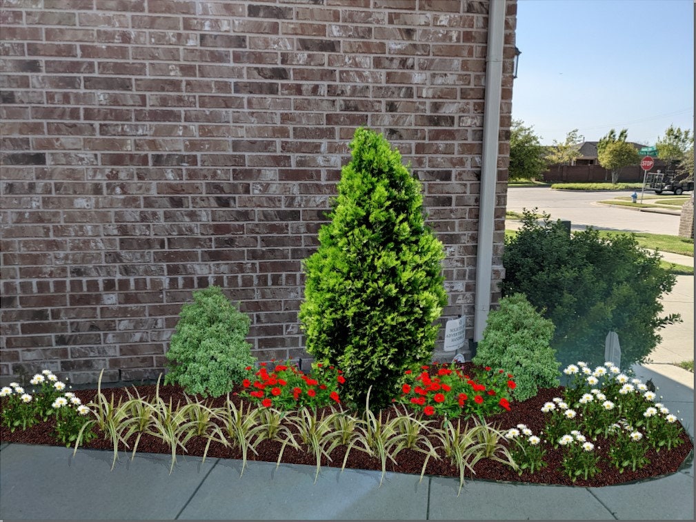 Shrub Options, Zone 8 Landscape Design Front Yard Partial Sun Full Sun ...