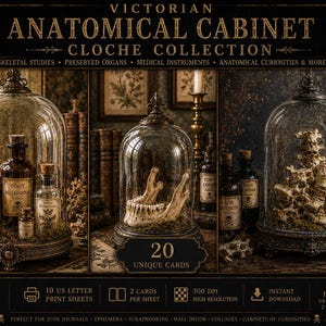 Könnte beinhalten: Eine digitale Sammlung von 20 einzigartigen Karten mit dem Titel Victorian Anatomical Cabinet Cloche Collection. Die Bilder zeigen Glaskuppeln mit Apothekerflaschen, einem menschlichen Kieferknochen und einer Wirbelsäule vor dunklem Hintergrund.