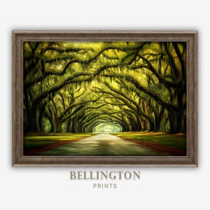 Wormsloe Avenue of Oaks Historic Site Painting Savannah Georgia Wall Art, Printable Southern Wall Art, Cottagecore Live Oak Wall Art  PA196