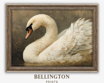 May include: A framed vintage print of a swan. The swan has white feathers, a black beak, and a curved neck. The background is a dark, muted colour. The print is labelled "Bellington Prints" at the bottom.