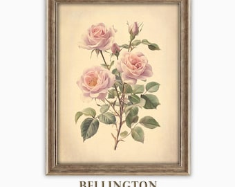 Vintage Pink Rose Print: Antique Floral Botanical Art (Digital Download)