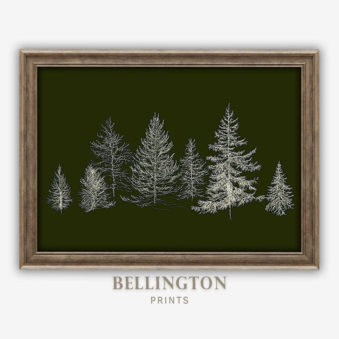 Printable Wall Art, Winter Pine Tree Line Art Print, Modern Forest Home ...