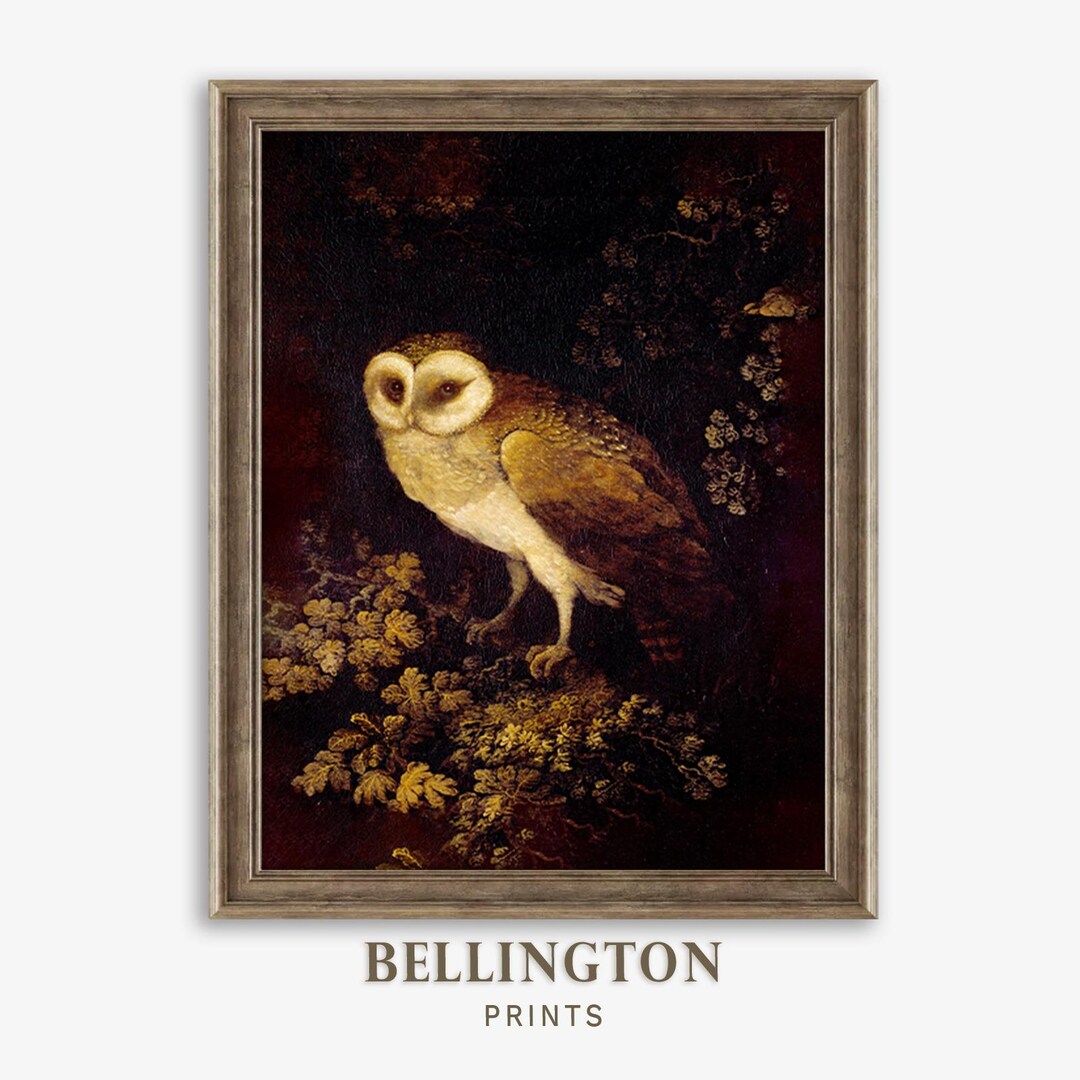 Antique Owl Painting: Dark Academia Gothic Cottagecore Wall Art ...