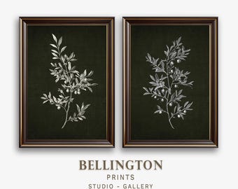 Olive Branch Botanical Print Set: Vintage Green Wall Art (Digital Download)