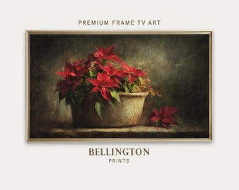素朴なポインセチアの静物画：クリスマスTVアート（デジタル