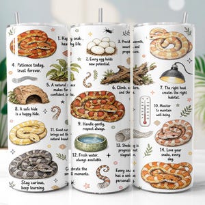 Könnte beinhalten: Ein weißer zylindrischer Becher mit einer umlaufenden Illustration verschiedener Schlangen, Schlangeneiern, einer Wärmelampe, einem Thermometer und einer Wasserschale. Das Design enthält nummerierte Pflegetipps und in Schwarz gedruckte Texte.