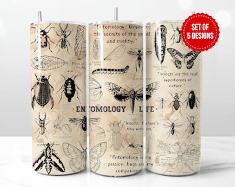Diseño de sublimación para envoltorio de vaso Entomology Life, plantilla PNG para vaso recto delgado de 20 oz, descarga digital
