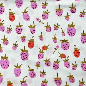 Windham Strawberry Fabric, 100% Cotton, Sewing, quilting, 20th anniversary design, Heather Ross