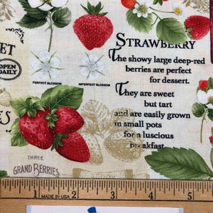 May include: A fabric print featuring strawberries, blossoms, and leaves with the text "STRAWBERRY The showy large deep-red berries are perfect for dessert. They are sweet but tart and are easily grown in small pots for a luscious breakfast THREE GRAND BERRIES".