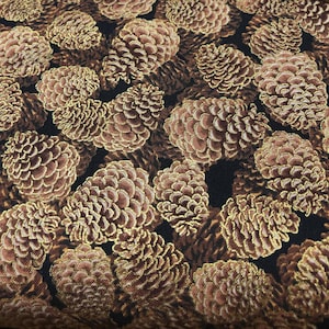 May include: Close-up of a fabric with a repeating pattern of pine cones. The pine cones are in shades of brown and gold, with a dark background. The texture of the fabric is visible, with the details of the pine cones clearly defined.