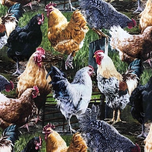 Hen Pecked, Springs Creative 100% Cotton, sewing fabric, quilting, CP59988, farm fabric, country, barnyard, chicken fabric