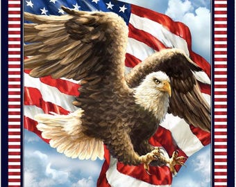 May include: An American flag with a majestic bald eagle soaring in front of it. The eagle has brown feathers and a white head, with its talons gripping the flag. The flag features red and white stripes and a field of blue with white stars. The image is framed with a blue border.