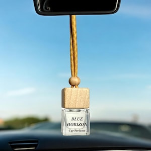 Car Perfumes/Diffusers | Car Air Freshener| Car Aromatherapy | Hanging Car Diffuser | Aroma Diffuser for Travel | Car Fragrances