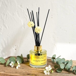 Roseau d'eucalyptus et de lavande | Parfum d'ambiance végétalien | Parfum d'aromathérapie longue durée, 118 ml