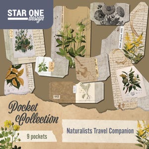 Könnte beinhalten: Eine Sammlung von neun Papiertaschen mit botanischen Illustrationen und handschriftlichen Schriftzügen. Die Taschen zeigen verschiedene Pflanzenzeichnungen, darunter Blumen und Blätter, mit gealterten Papierstrukturen. Der Text "Pocket Collection" und "Naturalists Travel Companion" sind ebenfalls sichtbar.