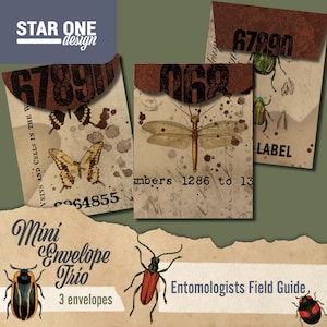 Puede incluir: Un trío de mini sobres con temática de entomología vintage. Cada sobre presenta una ilustración de insecto diferente, incluyendo una mariposa, una libélula y un escarabajo, con texturas de papel envejecido y salpicaduras de tinta. Los sobres tienen solapas marrones con números.