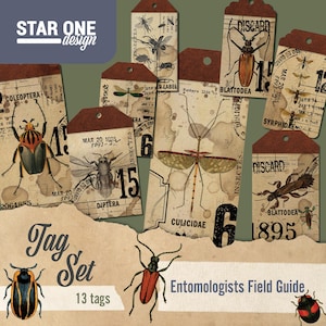 Könnte beinhalten: Ein Set aus 13 Insekten-Etiketten im Vintage-Stil mit braunem Papierhintergrund und Illustrationen verschiedener Insekten. Die Etiketten tragen die Aufschrift "Entomologists Field Guide" und "Discard".