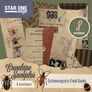 Entomologists Field Guide Envelope Sampler - Digital Printable - Ephemera, Envelopes