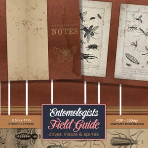 Może przedstawiać: Drukowany przewodnik terenowy dla entomologów, z okładką w stylu vintage z tekstem "ENTOMOLOGY NOTES" i ilustracjami owadów. Przewodnik zawiera strony o wymiarach 216 mm x 279 mm ze szczegółowymi rysunkami owadów, idealne do robienia notatek i identyfikacji.