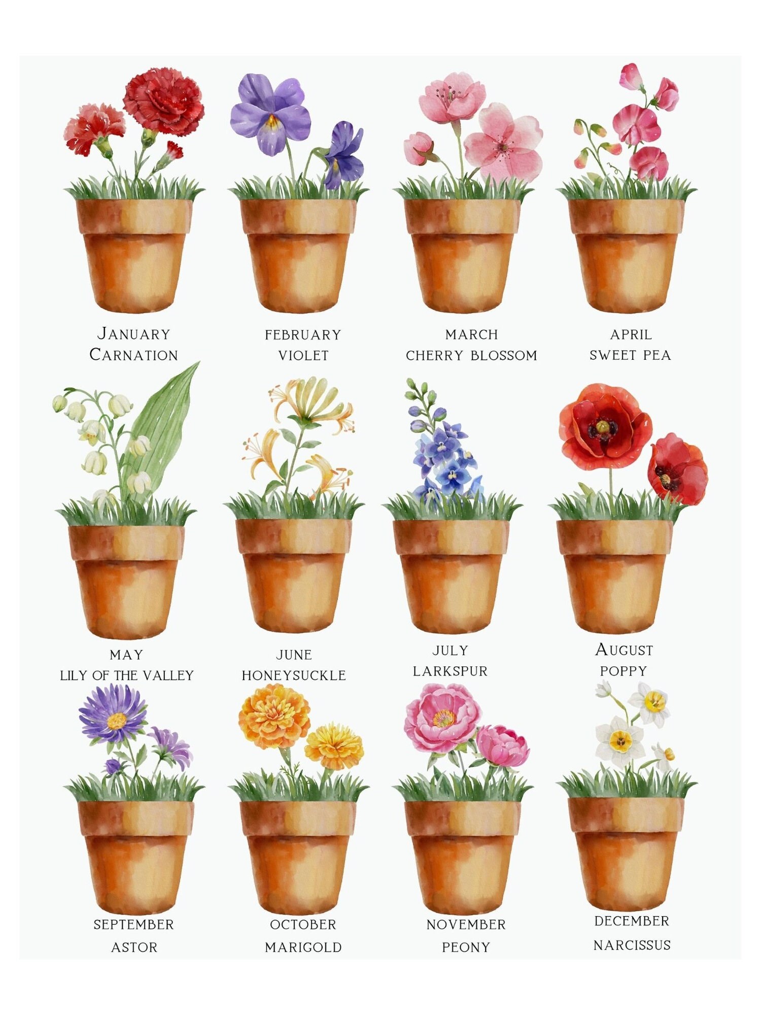 Watercolor Birth Flowers Wall Art Birth Details Birth Announcement