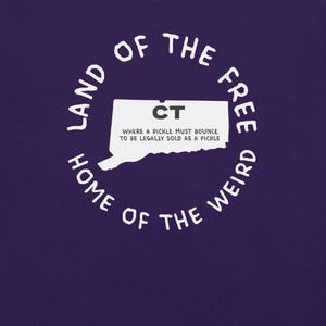 Camiseta del estado de Connecticut, camiseta con el mapa de Connecticut, camiseta con leyes estatales raras, camiseta con gráficos de Connecticut, camiseta con ciudades de Connecticut, camiseta ingeniosa